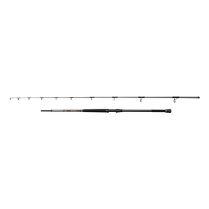 Image of Penn 2 Piece Regiment IV Uptide Rod - 10ft - 70-300g