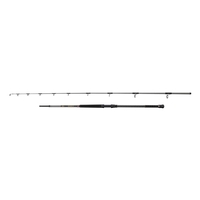 Penn 2 Piece Regiment IV Uptide Rod - 10ft - 70-300g