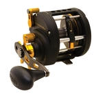 Image of Penn Fathom 20 Level Wind Star Drag Reel