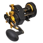 Image of Penn Fathom 15 Star Drag Reel