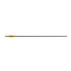 Image of Petron Fibreglass Arrows - 6 Pack