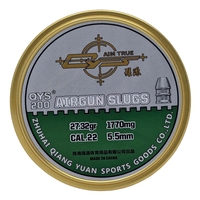 Qiang Yuan Sports Slugs .22 (5.50) x 250 - 27.32g