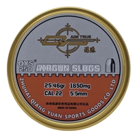 Qiang Yuan Sports Slugs .22 (5.50) x 250 - 25.46g