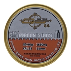 Image of Qiang Yuan Sports Slugs .22 (5.50) x 250 - 25.46g