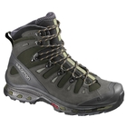 Image of Salomon Quest 4D 2 GTX Walking Boots (Men's) - Iguana Green / Asphalt / Dark Titanium