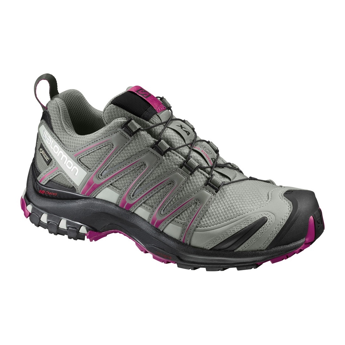 Salomon XA Pro 3D GTX Walking Shoes 