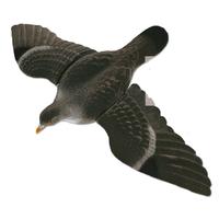 Seeland Flying Pigeon (Flocked) with Wings
