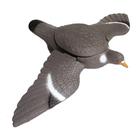 Seeland Flying Pigeon with Motorwings
