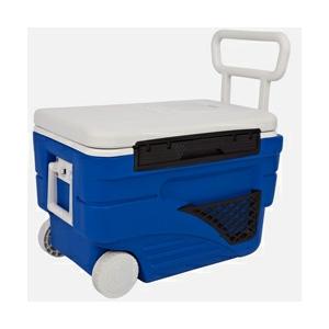 Image of Snowbee 36 Litre Coolbox