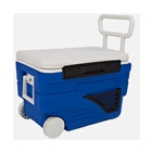 Image of Snowbee 36 Litre Coolbox