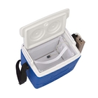 Snowbee 8 Litre Coolbox/Live Bait Container