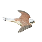 Image of Sportplast Kestrel Flying Decoy