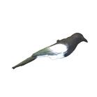 Image of Sportplast Magpie Decoy