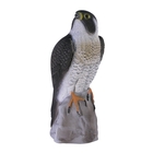 Image of Sportplast Peregrine Falcon Decoy