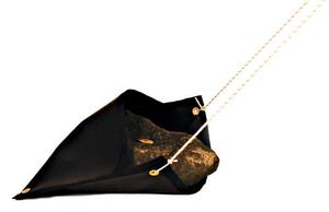 Image of Terra Nova Dead Guy