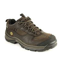 Image of Timberland Low Chocorua Trail GTX Walking Shoes (Mens) - Dark Brown