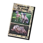 Image of Warrener Whippets at Work VHS Video - By Sue Mitchell and Pat Carey