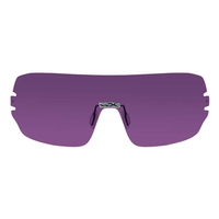 Wiley X Detection Extra Lens