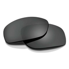Image of Wiley X Jakl Lens - Grey