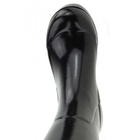 Image of Aigle Brilliantine Wellington Boots (Women's) - Noir