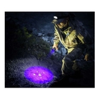 Image of Ansmann Action 400 UV Torch