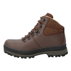 Image of Berghaus Hillmaster II GTX (2018) Walking Boots (Women's) - Dark Brown