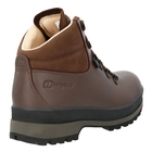 Image of Berghaus Hillmaster II GTX (2018) Walking Boots (Women's) - Dark Brown