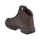 Image of Berghaus Explorer Ridge Plus GTX Walking Boots (Women's) - Brown / Dark Dull Grey