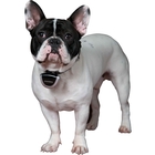 Image of Canicom Eyenimal Digital Pet Camera - 4GB Kit