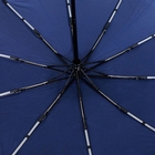 Image of Castellani Folding Umbrella - Blue