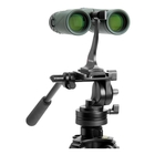 Image of Celestron Nature DX 10x32 Binoculars - Green