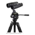 Image of Celestron Nature DX ED 10x42 Binoculars - Black