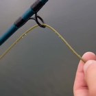 Image of Cortland Pike Musky Intermediate Fly Line - Olive/Green
