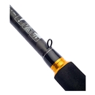 Image of Daiwa 2 Piece Legalis Seabass Rod - 9ft - 9ft 6in - 14-42g