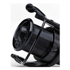 Image of Daiwa 17 Basia 45 SLD QD Carp Reel c/w Spare Spool