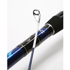 Image of Daiwa 2 Piece Supercast Surf Fixed Spool Rod