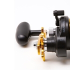Image of Daiwa BG30H Saltist Black Gold Super High Speed Reel
