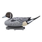 Image of Final Approach Last Pass Floating Pintail - 12pk
