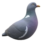 Image of Final Approach Last Pass Pigeon Decoys - 12pk