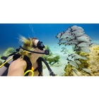 Image of GoPro Blue Water Dive Filter - For Super Suit