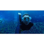 Image of GoPro Blue Water Snorkel Filter (Hero5 Black)
