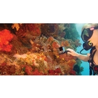 Image of GoPro Gooseneck