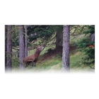 Image of GPO Rangeguide 3000 10x32 Rangefinder/Binocular