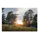 Image of Harkila Noctyx Camo S/S T-Shirt - AXIS MSP Black