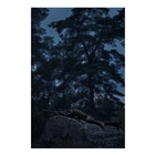 Image of Harkila Noctyx Camo Hybrid Jacket - AXIS MSP Black