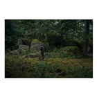 Image of Harkila Noctyx 12L Backpack - AXIS MSP Black