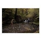 Image of Harkila Lady Deer Stalker Camo HWS Jacket - AXIS MSP Forest