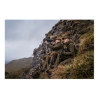 Image of Harkila Lady Pro Hunter GTX Jacket - Willow Green