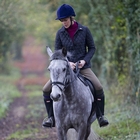 Image of Hunter Balmoral Equestrian Neoprene Wellingtons (Women's) - Black