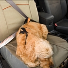 Image of Kurgo Co Pilot Bucket Seat Cover - Khaki